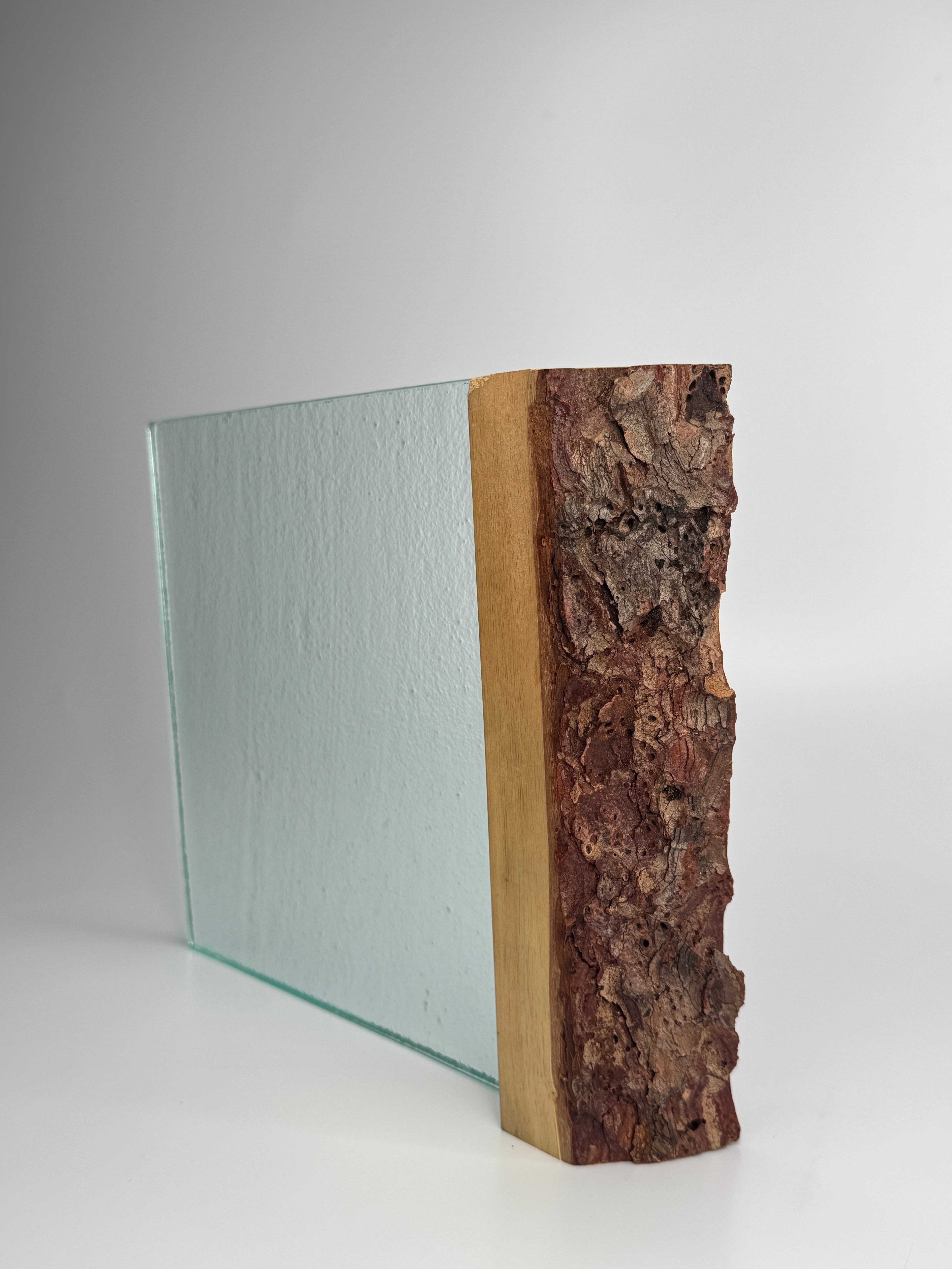 Live Edge wood Excelence glass award
